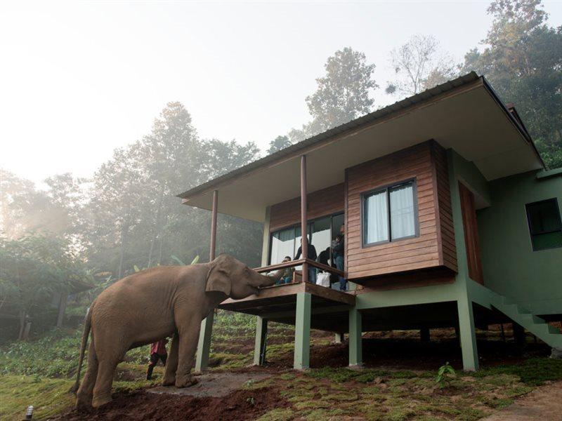 Chiang Mai Elephant Friends Exteriör bild